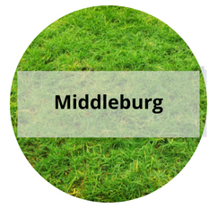 Middleburg FL Homes For Sale